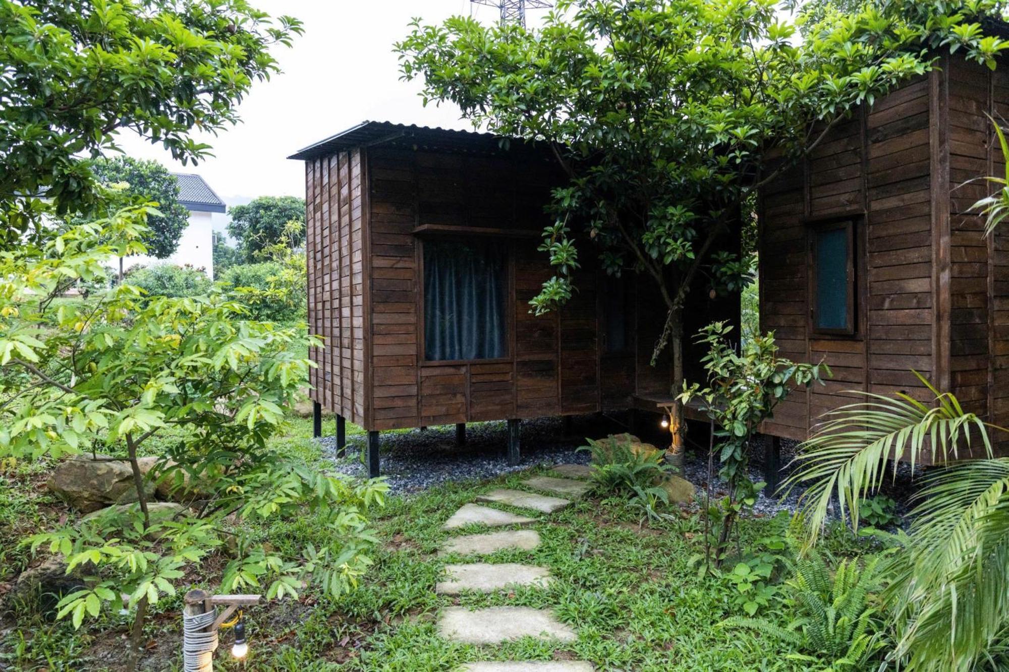 Lodge Xiem *